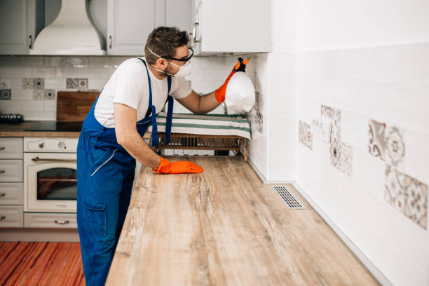 A pest control expert applying treatment to eliminate grease ants in the kitchen